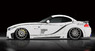 Аэродинамический обвес Tommy Kaira Rowen для BMW Z4 E89
