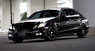 Обвес WALD Black Bison для Mercedes E W212