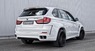 Обвес Hamann Widebody для BMW X5 F15