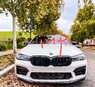 Сплиттер (губа) карбон на передний бампер BMW M5 F90 LCi MP