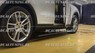Выдвижные электрические подножки Porsche Cayenne 2018+ (с подсветкой)