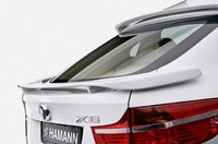 Спойлер + козырек на стекло «Hamann Tycoon» на BMW X6